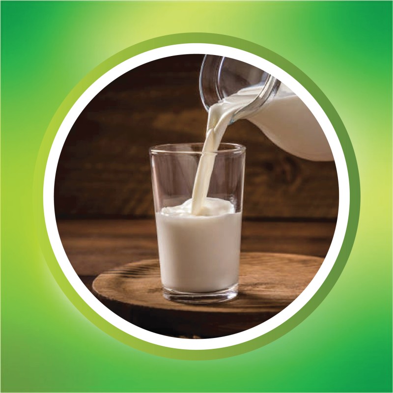 Milk Vita Pasteurized Milk